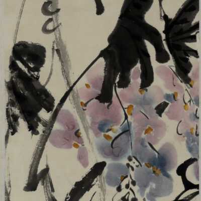 Wisteria