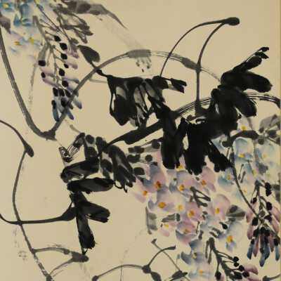 Study of Wisteria