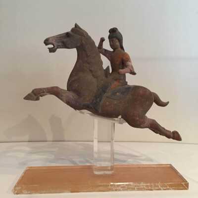 Polo Player