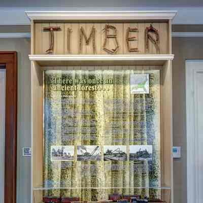 Timber Display Case