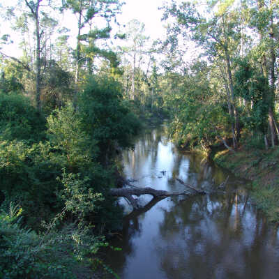 Abita River in Color