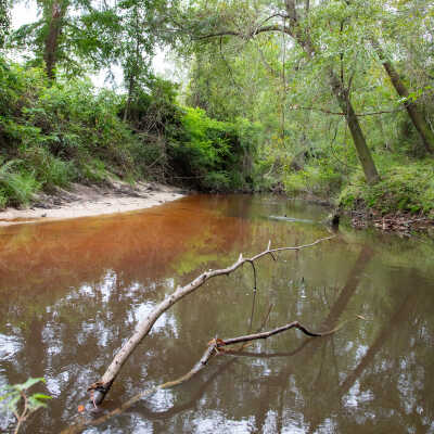 2020 Abita River at Abita Springs Park