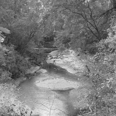 Abita River in Black and White