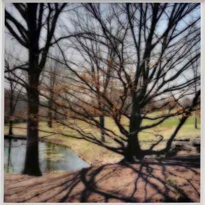 Cheekwood Botanical Garden, Tennessee