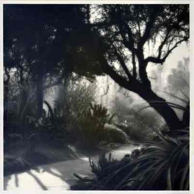 Huntington Gardens, Pasadena, California