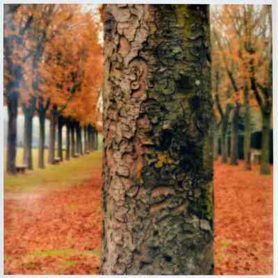 Parc de Sceaux, France