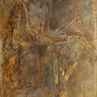 The Bog Man (Tellund Man)
