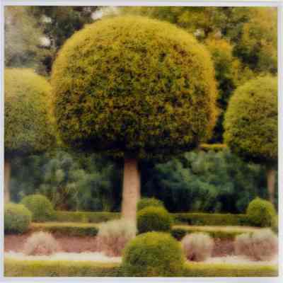 Parc de Sceaux, France