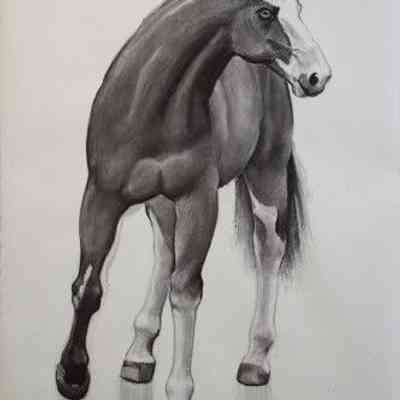 Mask Horse