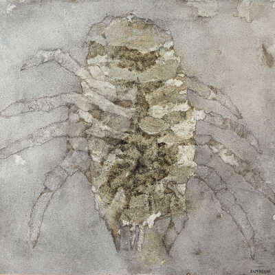 Crustacean