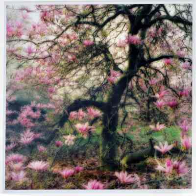 Bernheim Arboretum, Kentucky