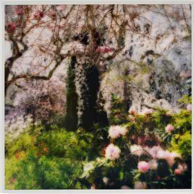 Filoli Gardens, California
