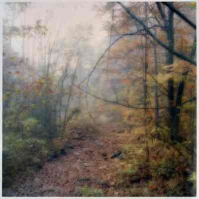 Bernheim Arboretum, Kentucky