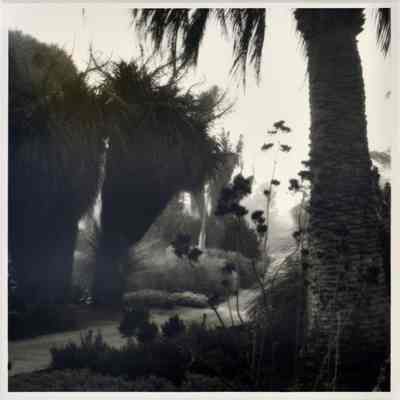 Huntington Gardens, Pasadena, California