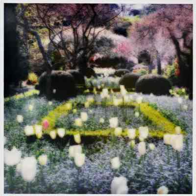 Filoli Gardens, california