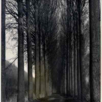 Damme, Belgium