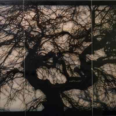 Structure of Thought #15