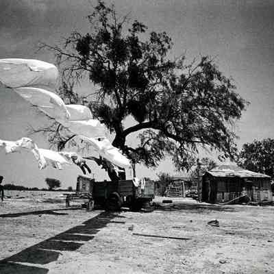 Clothesline