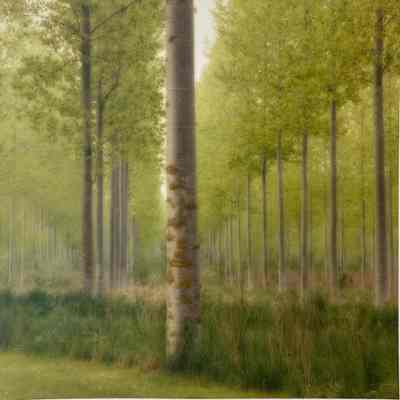 Parc de Jeurre, France