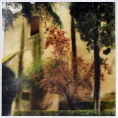 Royal Alcazar of Seville, pain