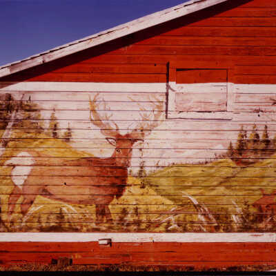 Barn with Fridl Eggl Painting, Cando ND, Detail of Deer