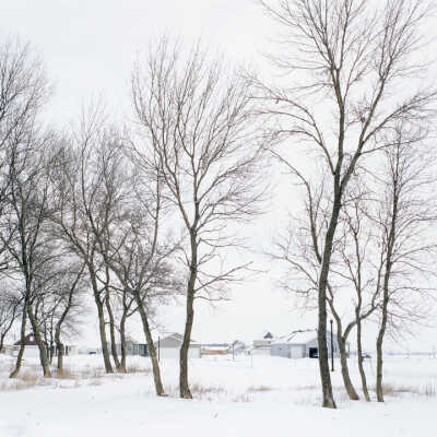 Edge Of Town, Fargo, ND, February 24, 2005 46˚ 49.152N 096˚ 35.456W 2-24-05 Fargo (triptych #1c winter)