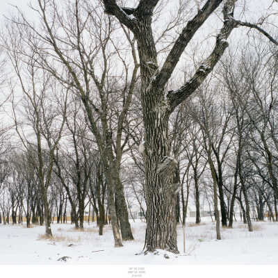 Edge Of Town, Fargo, ND, February 24, 2005 46˚ 49.152N 096˚ 35.456W 2-24-05 Fargo (triptych #1b winter)