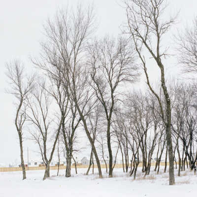 Edge Of Town, Fargo, ND, February 24, 2005 46˚ 49.152N 096˚ 35.456W 2-24-05 Fargo (triptych #1a winter)