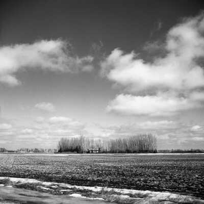Multi - Row Shelterbelt Creates A Micro-Climate Around Country House. Near Sabin, Minnesota. March 2003