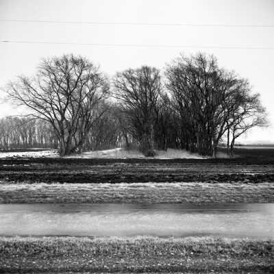 L Shaped Multi Row Shelterbelt, March, 2000