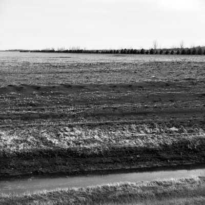 Background: Row Of Scotch Pine - Approximately 10- 12 Years Old. Middle Ground: Windblown Soil. The Purpose Of Shelterbelts And Minimum Tillage Techniques Is To Prevent Such Soil Movement. April 2002
