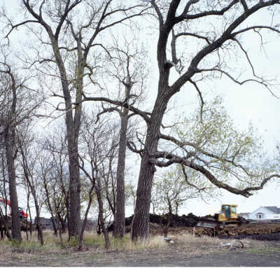 Edge Of Town, Fargo, ND, April 30 , 2005 46˚ 49.152N 096˚ 35.456W 4-30-05 (Triptych 2c Summer)