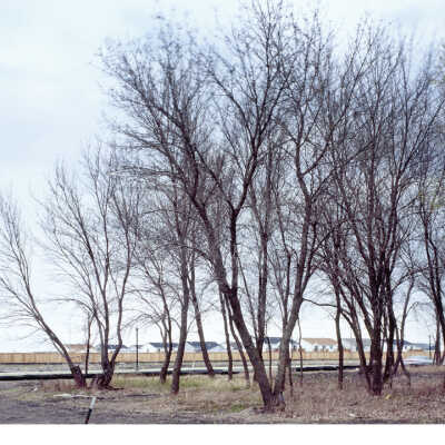 Edge of Town, Fargo, ND, April 30 , 2005 46˚ 49.152N 096˚ 35.456W 4-30-05 (Triptych 2a Summer)