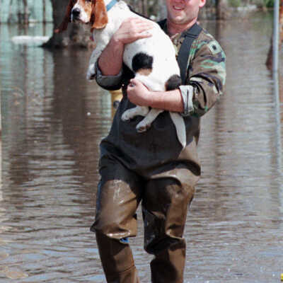 He Ain't Nothin' but a Found Dog