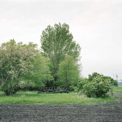 Moldboard Plow, No Longer Used In Shelterbelt