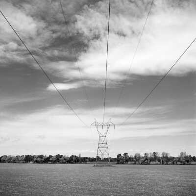 Power Lines Intersecting Shelterbelts. June 2002