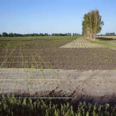 Livelihood 1 2004