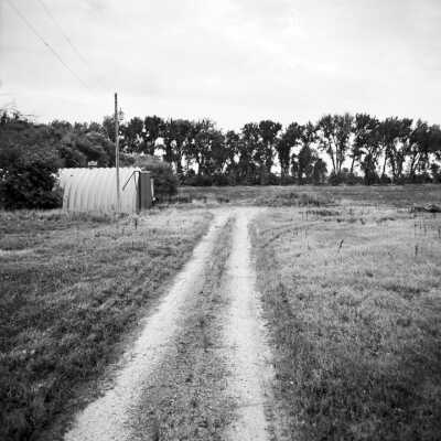 An L Shaped Farmstead Shelterbelt Of Spruce And Cottonwood. Machine Shed Is Only Building Remaining. October 2000