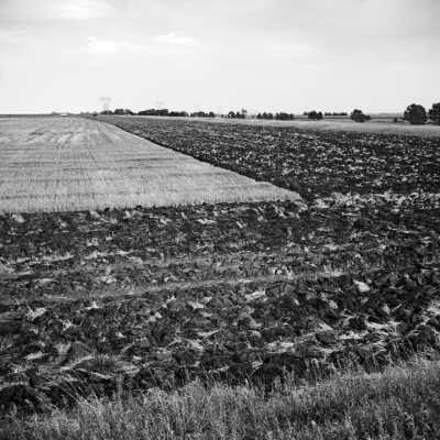 Wheatfield In Process Of Moldboard Plowing. Beginning In The 1940's,This Type Of Plowing Has Been Done Less And Less Because Farmers And Soil Scientists Recognize That It Makes The Soil Too Vulnerable To Wind Erosion And Buries Organic Material Too Deep, Out Of Reach Of Plants. Has Been Mostly Replaced By Techniques That Disturb Soil Less. October 2000