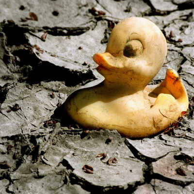 A MUD DUCK