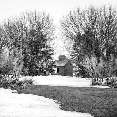 Multi-Row Shelterbelt And Old Grainery 2000