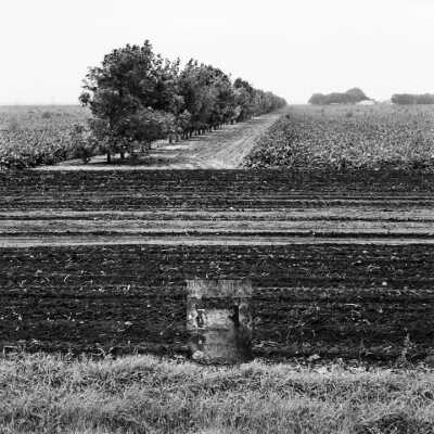 Portrait Of Soil