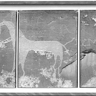 Navajo Horses Petroglyph
