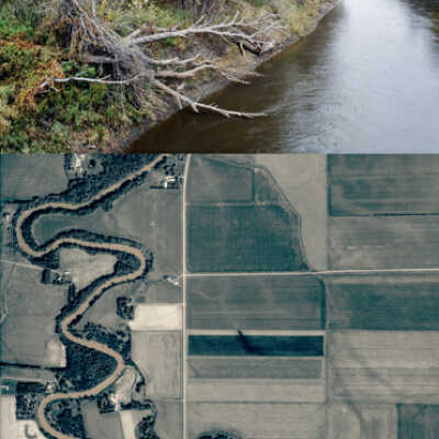 Riparian Forest 2004