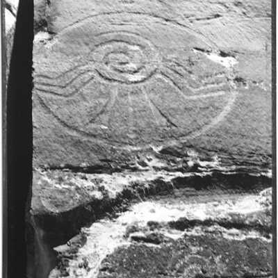 Deeply Etched Shield, McConkey Ranch, Utah, 1996