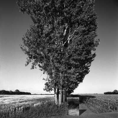 Portrait Of Soil 2