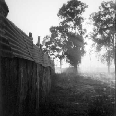untitled (fence)
