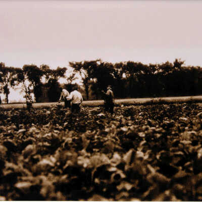 Fieldwork