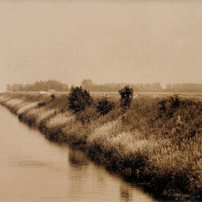 Landscape 1: Field and Irrigation Ditch