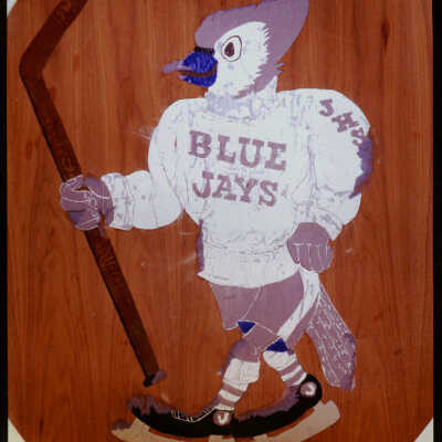 High School Mascot for the Blue Jays at Jamestown Arena, Jamestown, ND